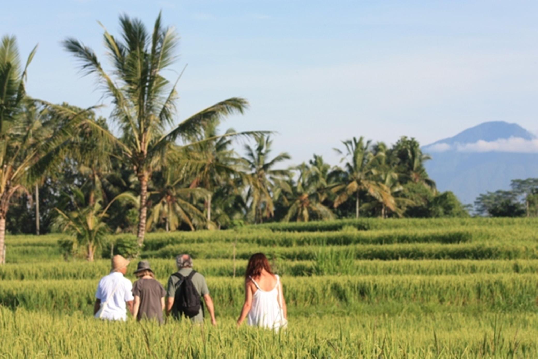 Wapa Di Ume Ubud Ngoại thất bức ảnh