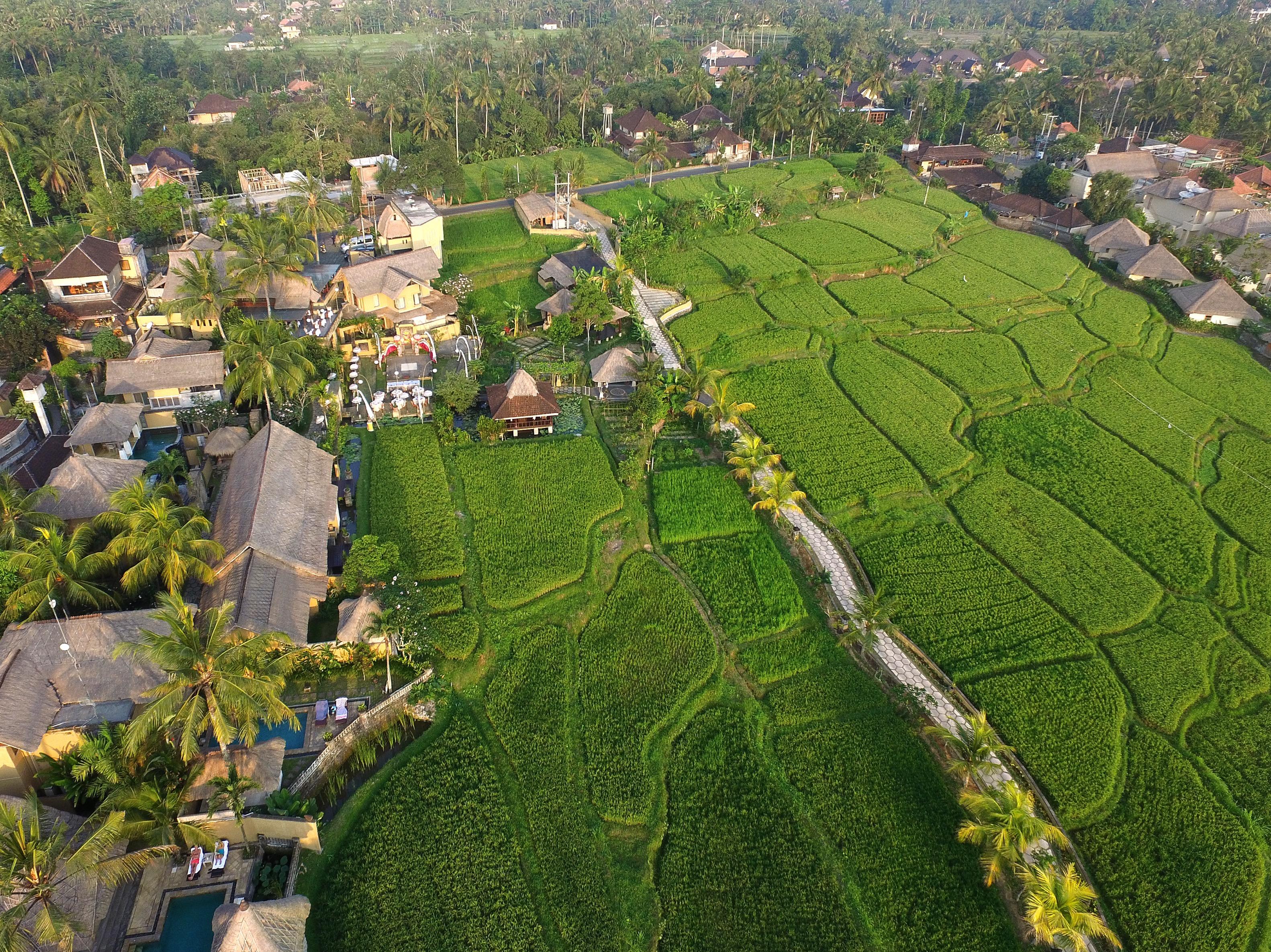 Wapa Di Ume Ubud Ngoại thất bức ảnh