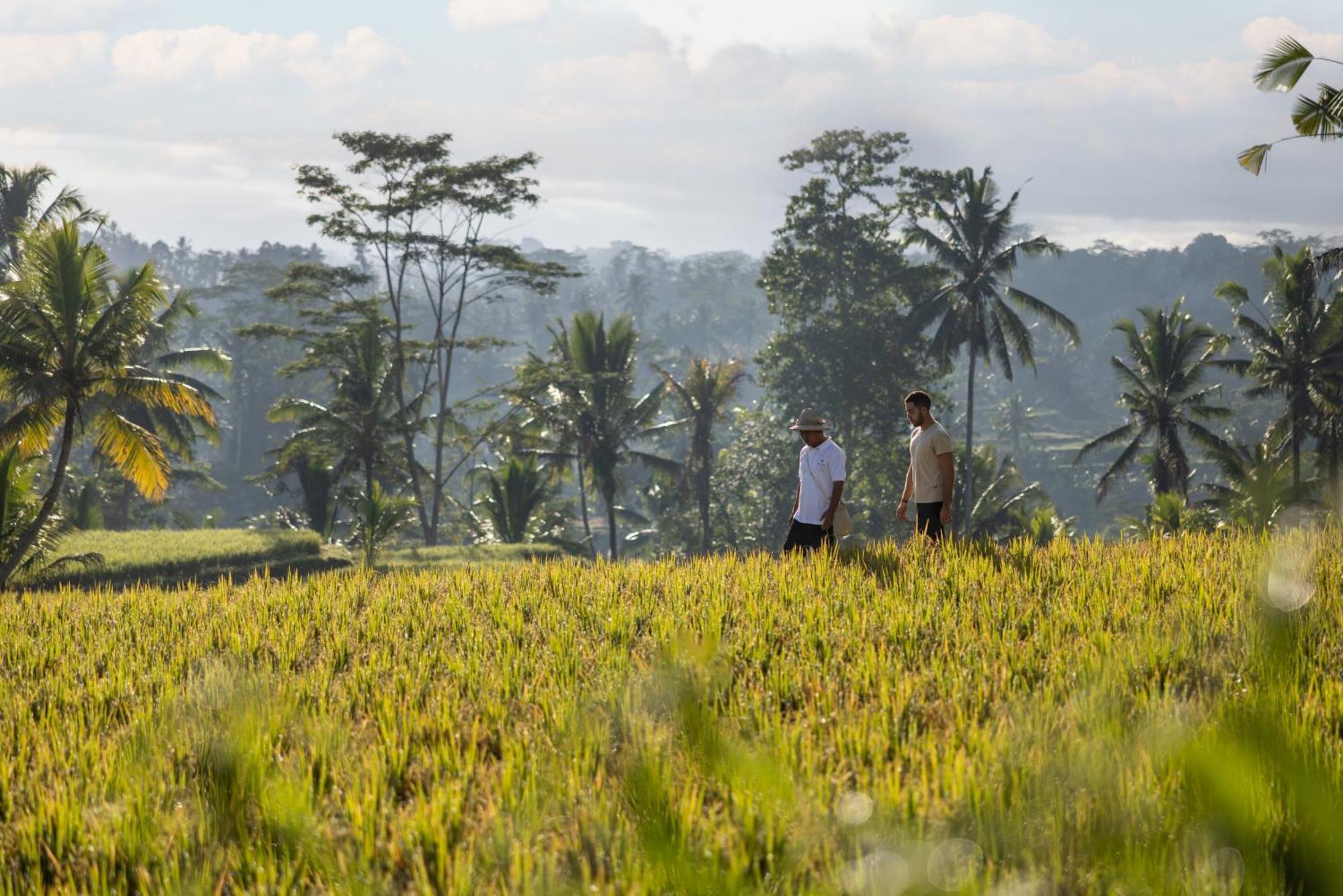 Wapa Di Ume Ubud Ngoại thất bức ảnh